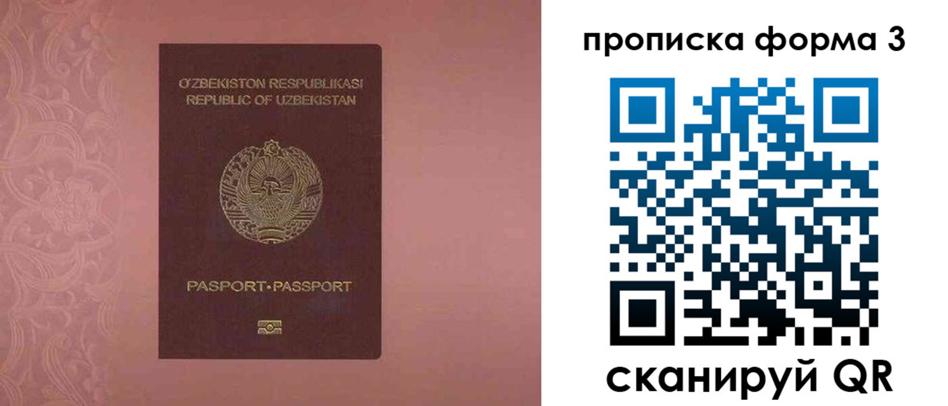 регистрация в Светогорске